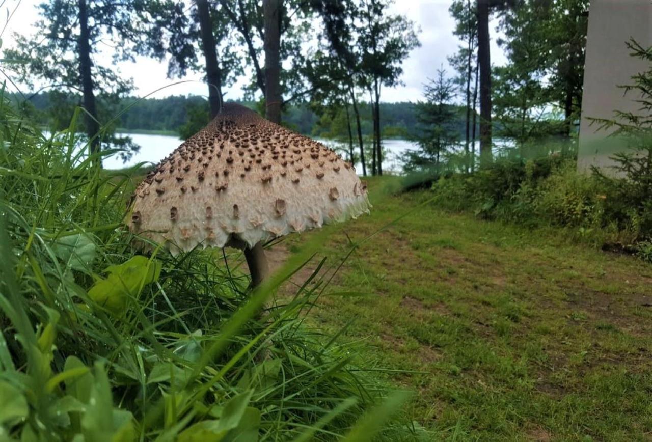 Jw Mazury Domy Wakacyjne Nad Jeziorem-Dom Czapla Waplewo  Exterior foto